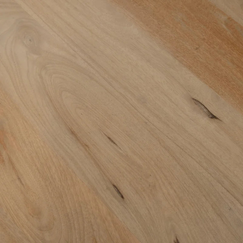 Paire de tables basses élégantes en bois de manguier, style bohème, pour intérieurs modernes