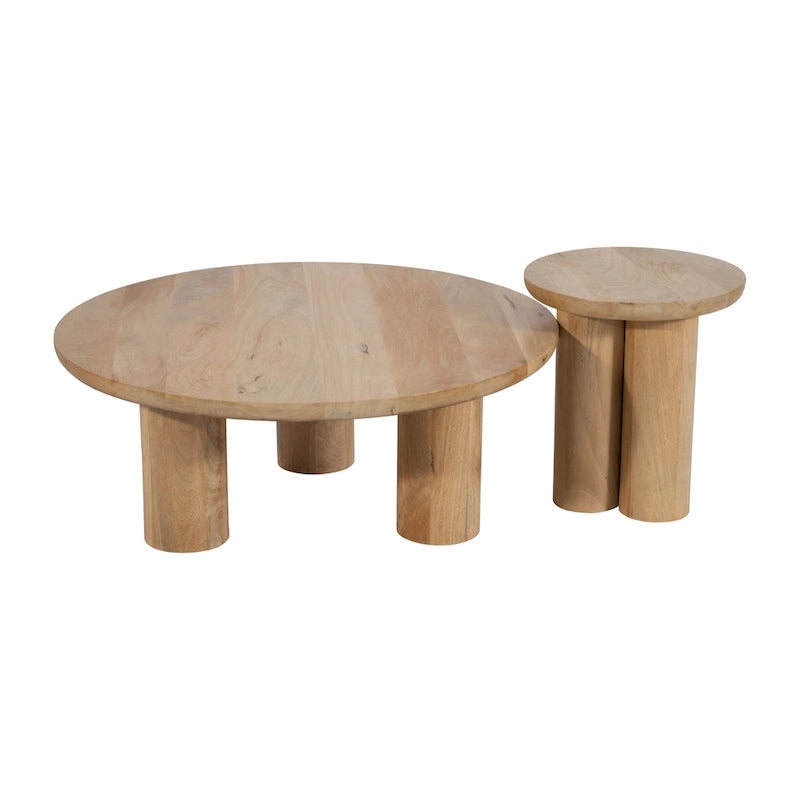 Paire de tables basses élégantes en bois de manguier, style bohème, pour intérieurs modernes